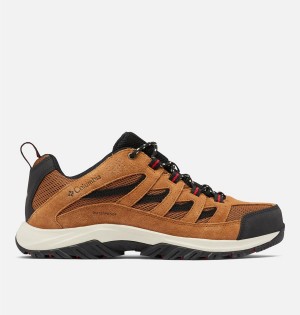 Brown Men's Columbia Crestwood Waterproof Hiking Shoes | HXNBJ-9873