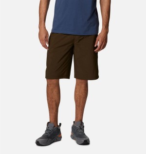 Brown Men's Columbia Palmerston Peak Water Shorts | TMALH-2536