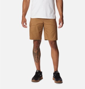 Brown Men's Columbia Rapid Rivers Shorts | LVAJM-1503