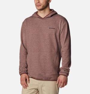 Brown Men's Columbia Stone Canyon Hoodie | CEGXD-7890