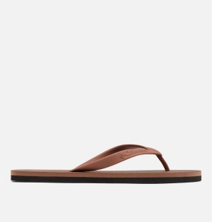 Brown Men's Columbia Sun Trek Flip Flop Sandals | VFBJC-5437