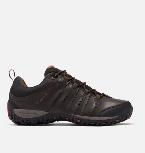 Brown Men's Columbia Woodburn II Waterproof Hiking Shoes | RCOKH-1504