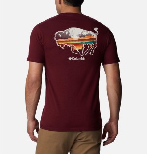 Burgundy Men's Columbia Rusher Graphic T-Shirt | XFIJU-3680