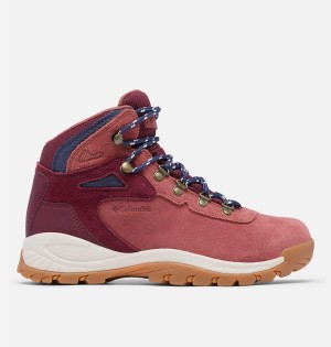 Coral Women's Columbia Newton Ridge Plus Waterproof Amped Boot Hiking Shoes | ZKXRW-6843