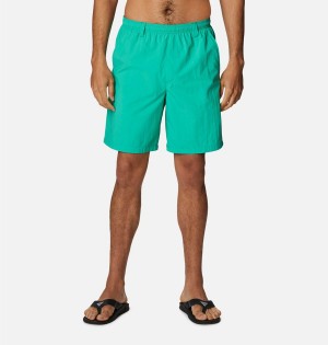 Green Men's Columbia PFG Backcast III Water Shorts | JRDNB-8426