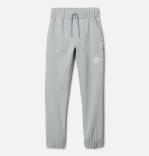 Grey Kids' Columbia Trek II Joggers Pants | QYPGJ-1937