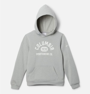 Grey Kids' Columbia Trek Pullover Hoodie | ONSRD-0852