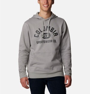 Grey Men's Columbia Trek Hoodie | XECBW-4968