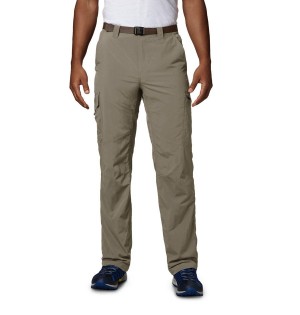 Khaki Men's Columbia Silver Ridge Cargo Pants | EGTIS-1508