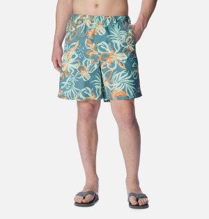 Multicolor Men's Columbia PFG Super Backcast Water Shorts | SKUQB-4961