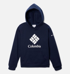 Navy Kids' Columbia Trek Pullover Hoodie | TNSEJ-3941