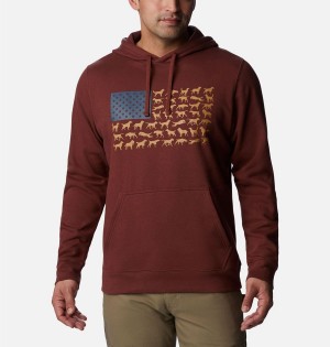 Red Men's Columbia PHG Game Flag II Hoodie | CANYQ-2587