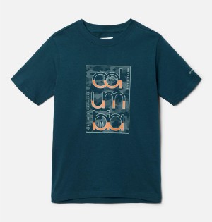 Turquoise Kids' Columbia Basin Ridge Short Sleeve Graphic T-Shirt | ELBGC-1563