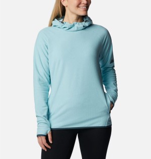 Turquoise Women's Columbia Back Beauty Pullover Hoodie | SKOQJ-3758