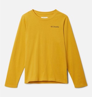 Yellow Kids' Columbia Dobson Pass Long Sleeve Graphic T-Shirt | NKOXG-2579