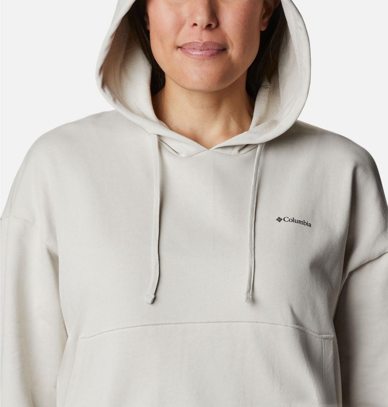 Beige Women's Columbia Break It Down Hoodie | ZRMLB-6421