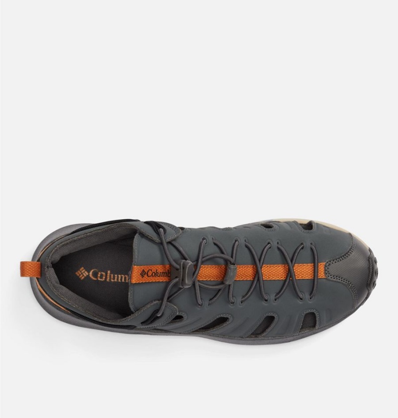 Black Men's Columbia Trailstorm H20 Shoe Sandals | XYCEW-3296