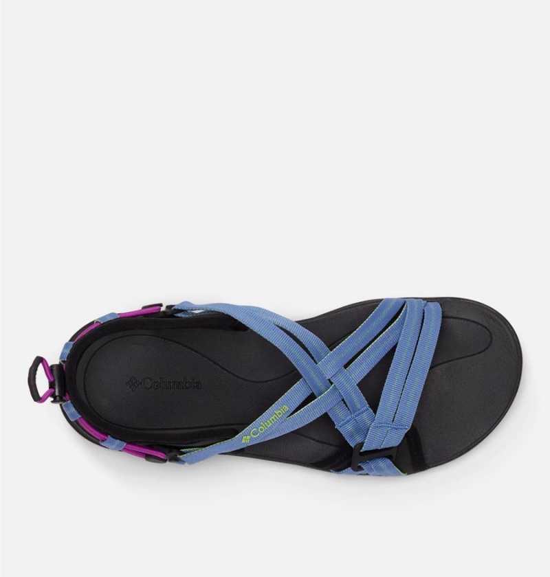 Black Women's Columbia Classic Sandals | YESIJ-5938