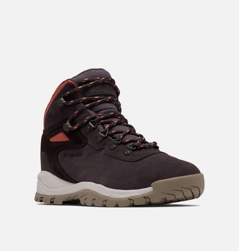 Black Women's Columbia Newton Ridge Plus Waterproof Amped Boot Hiking Shoes | YFJST-4298