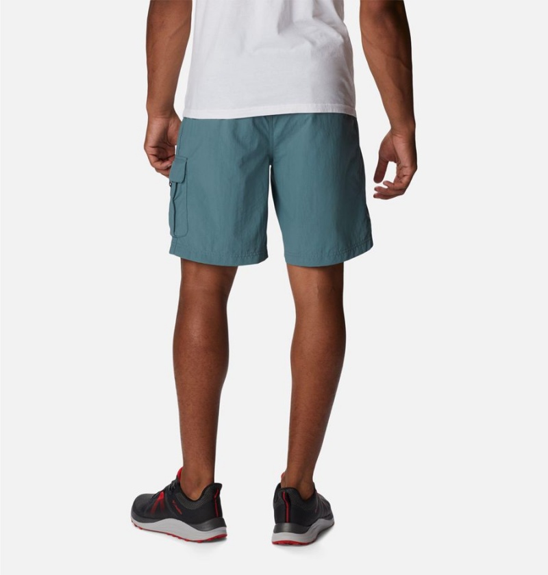 Blue Men's Columbia Palmerston Peak Sport Shorts | WFBMR-9153