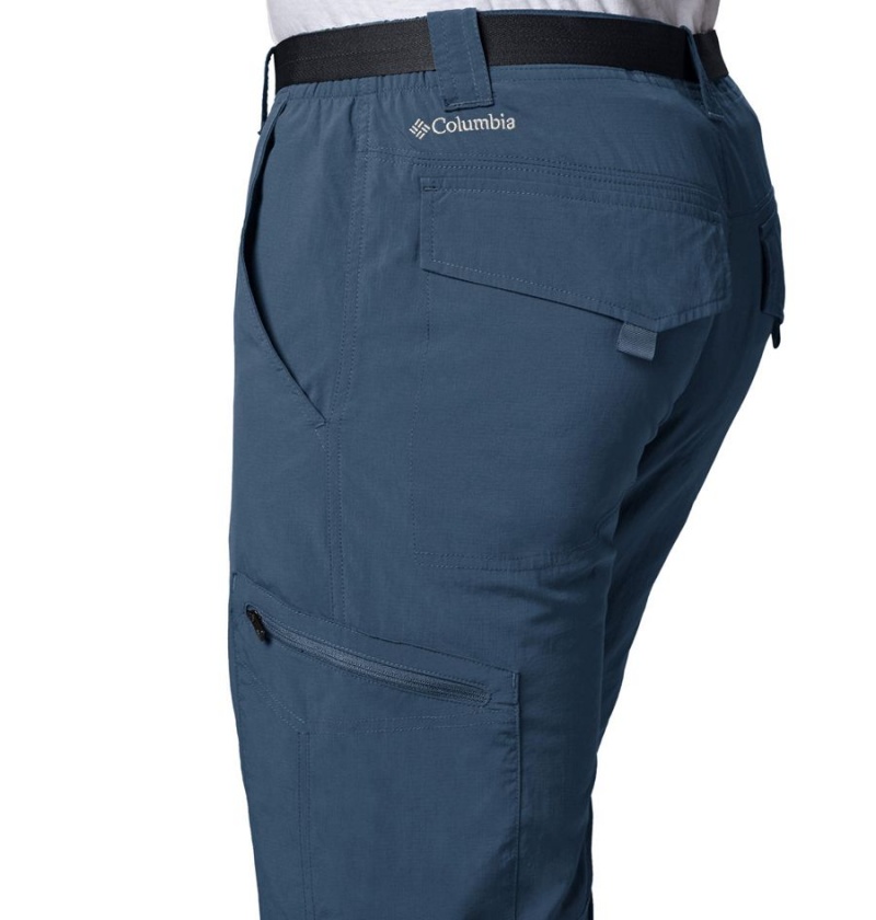 Blue Men's Columbia Silver Ridge Cargo Pants | FYPZW-4160