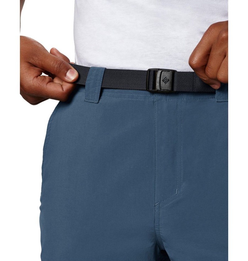 Blue Men's Columbia Silver Ridge Cargo Pants | FYPZW-4160