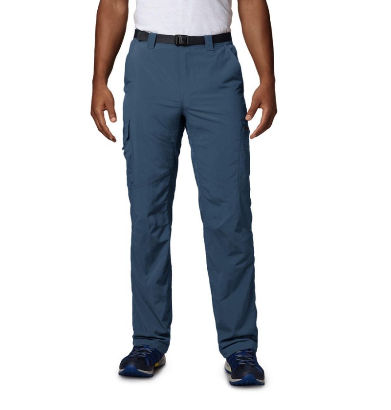 Blue Men\'s Columbia Silver Ridge Cargo Pants | FYPZW-4160