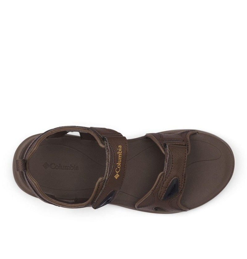 Brown Men's Columbia Ankle Strap Sandals | KYSME-5674