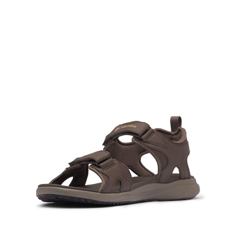 Brown Men's Columbia Ankle Strap Sandals | KYSME-5674