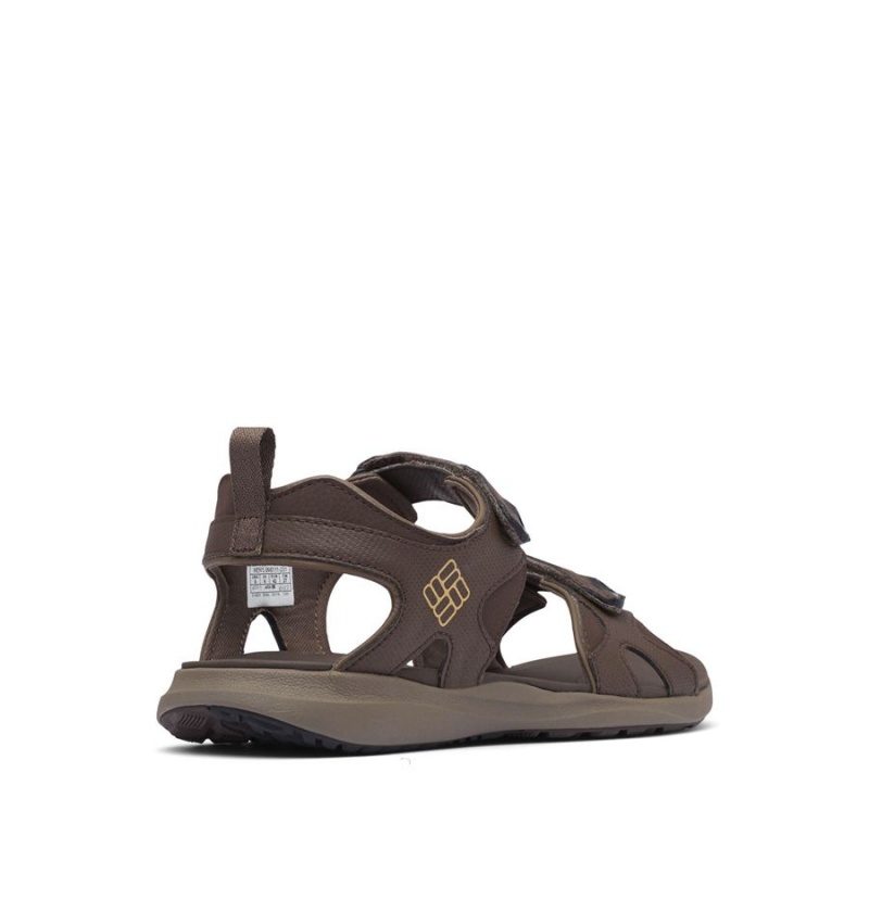 Brown Men's Columbia Ankle Strap Sandals | KYSME-5674