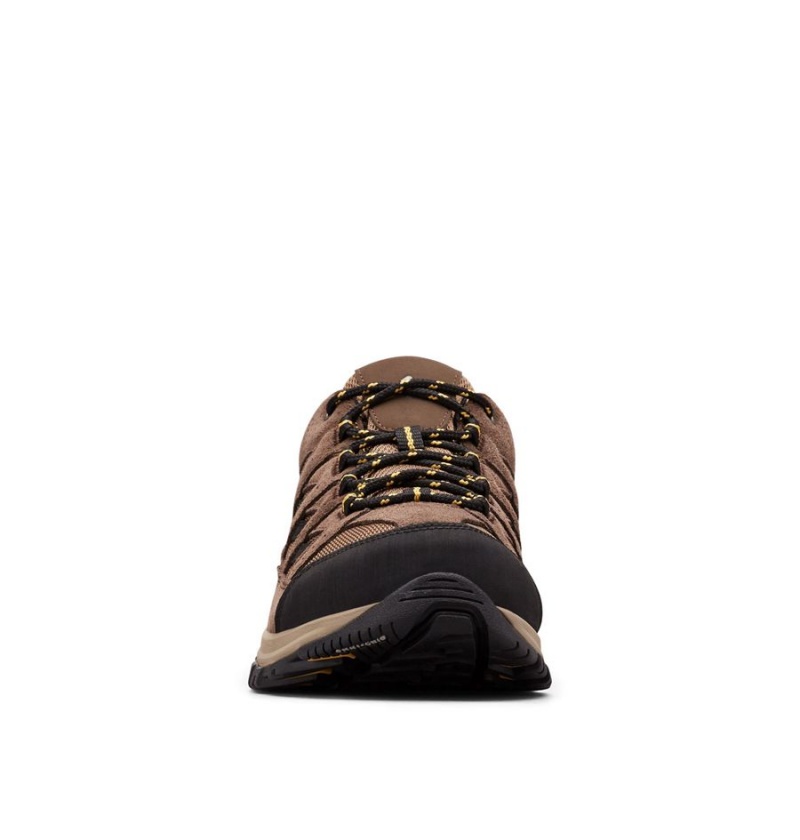 Brown Men's Columbia Crestwood Hiking Shoes | TKOCR-0291