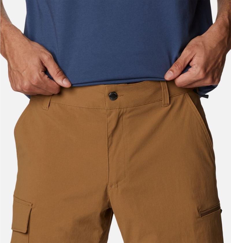 Brown Men's Columbia Newton Ridge II Shorts | MEKXR-3624