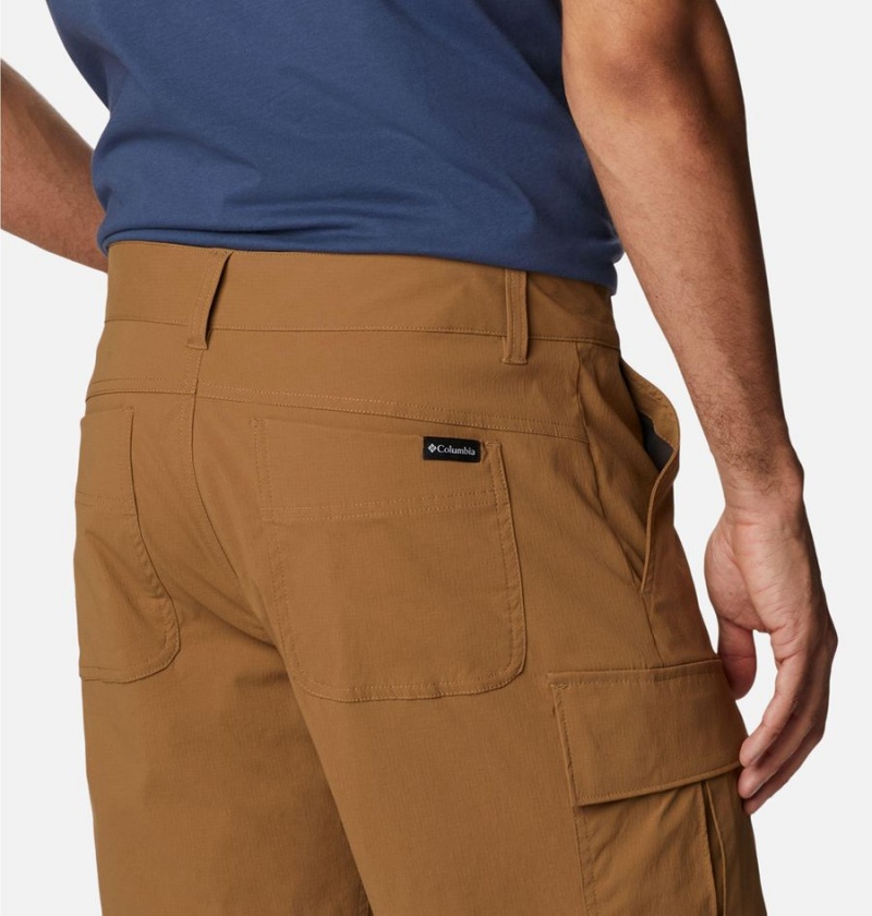 Brown Men's Columbia Newton Ridge II Shorts | MEKXR-3624