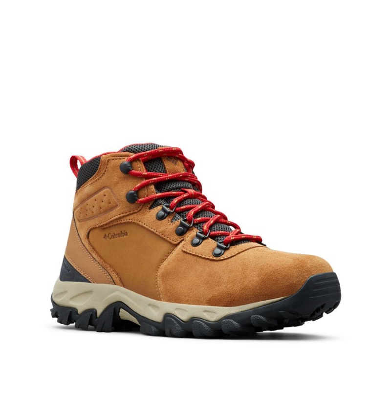 Brown Men's Columbia Newton Ridge Plus II Suede Waterproof Boot Hiking Shoes | GTLVR-7198