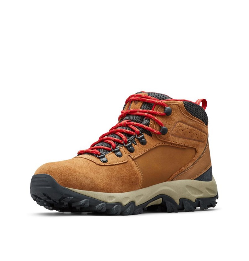 Brown Men's Columbia Newton Ridge Plus II Suede Waterproof Boot Hiking Shoes | GTLVR-7198