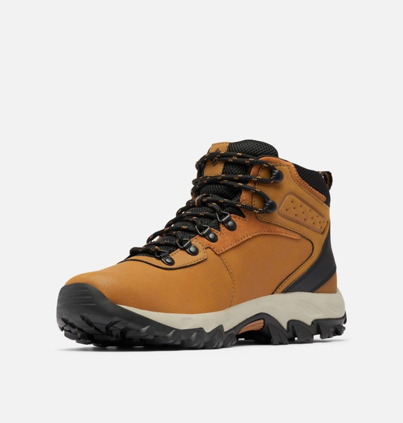 Brown Men's Columbia Newton Ridge Plus II Waterproof Boot Hiking Shoes | VQPOM-6748