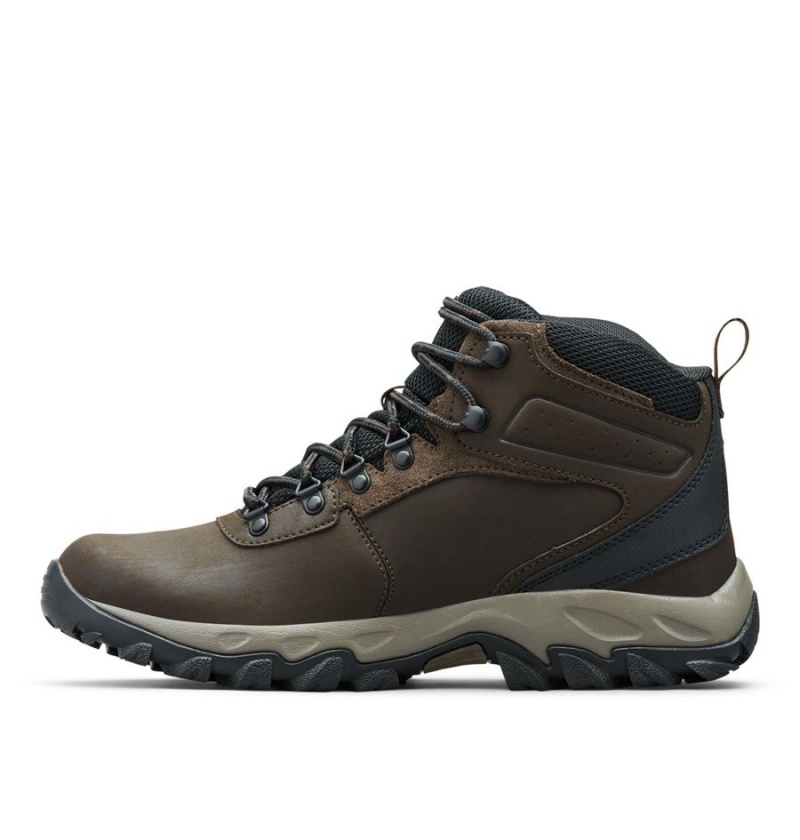 Brown Men's Columbia Newton Ridge Plus II Waterproof Boot Hiking Shoes | AGWNK-6849