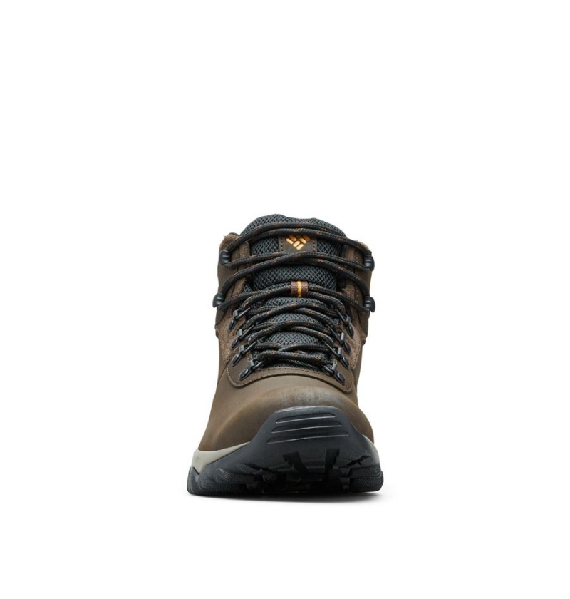 Brown Men's Columbia Newton Ridge Plus II Waterproof Boot Hiking Shoes | AGWNK-6849