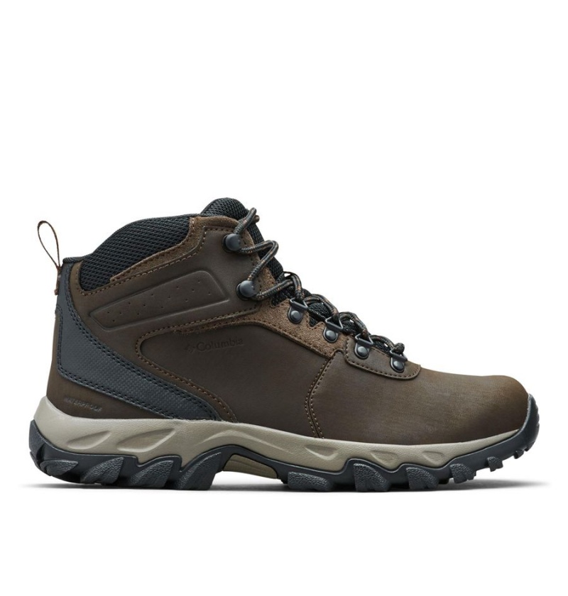 Brown Men\'s Columbia Newton Ridge Plus II Waterproof Boot Hiking Shoes | AGWNK-6849