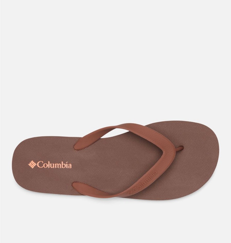 Brown Men's Columbia Sun Trek Flip Flop Sandals | VFBJC-5437