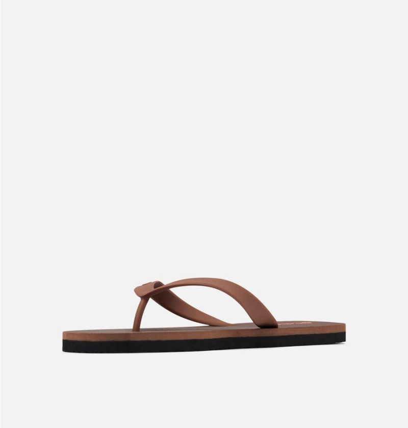 Brown Men's Columbia Sun Trek Flip Flop Sandals | VFBJC-5437