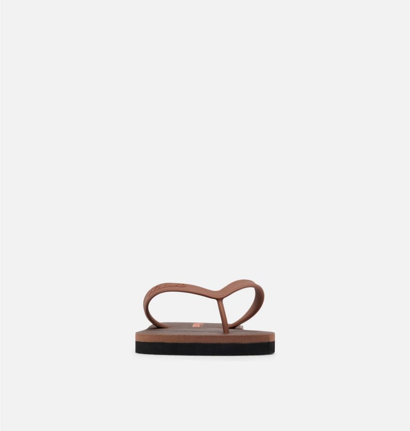 Brown Men's Columbia Sun Trek Flip Flop Sandals | VFBJC-5437