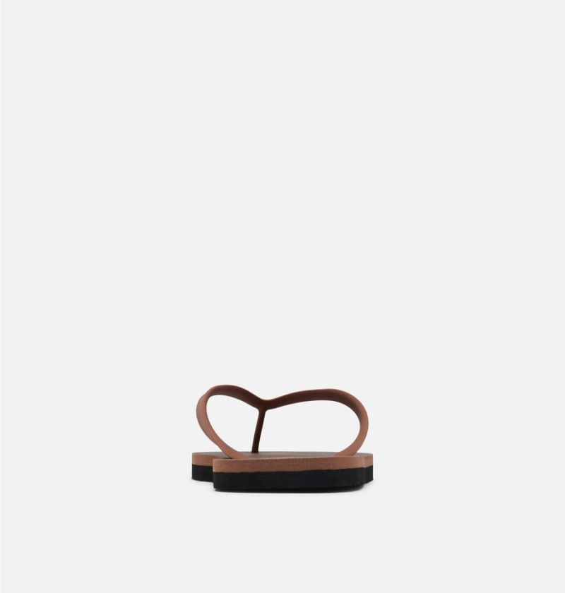 Brown Men's Columbia Sun Trek Flip Flop Sandals | VFBJC-5437