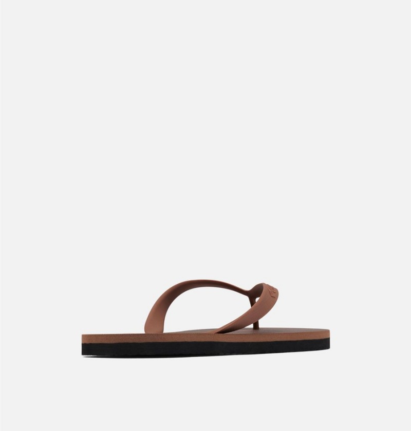 Brown Men's Columbia Sun Trek Flip Flop Sandals | VFBJC-5437