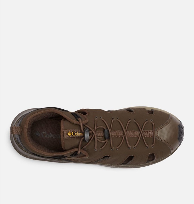 Brown Men's Columbia Trailstorm H20 Shoe Sandals | GOQCW-5097