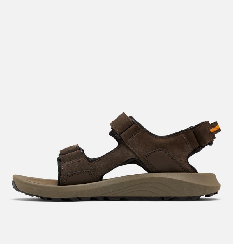 Brown Men's Columbia Trailstorm Hiker 3-Strap Sandals | ORPST-6907