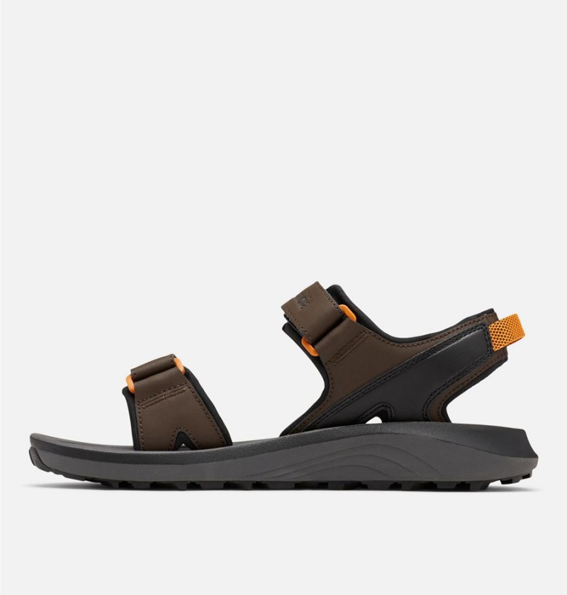 Brown Men's Columbia Trailstorm Sandals | UHSEG-5924