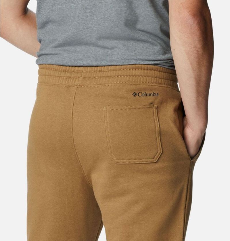 Brown Men's Columbia Trek Joggers Pants | LGZYI-1784