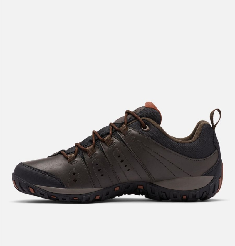 Brown Men's Columbia Woodburn II Waterproof Hiking Shoes | RCOKH-1504