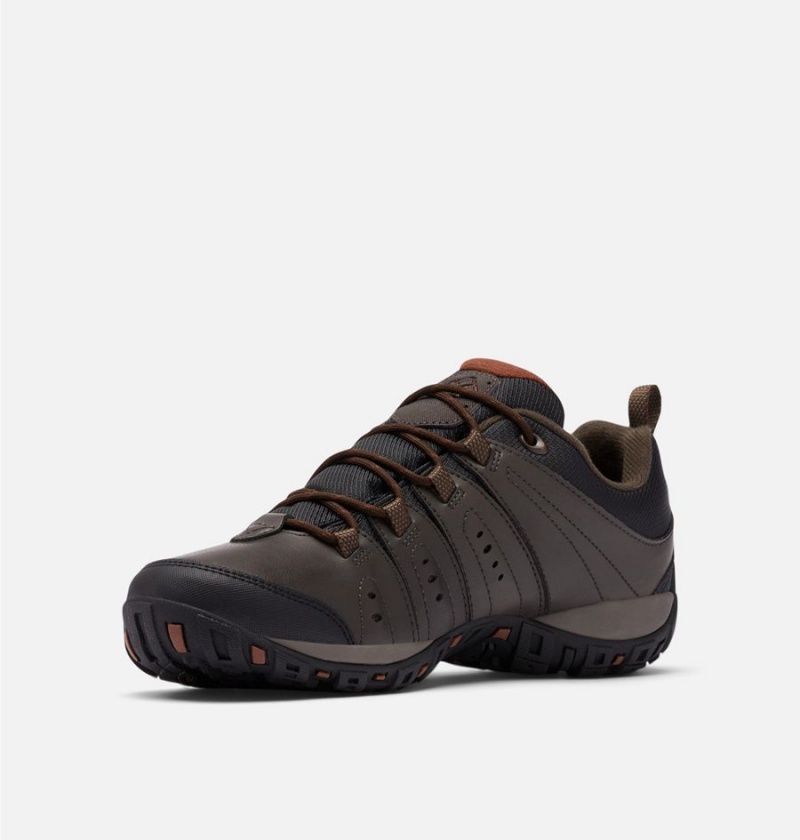 Brown Men's Columbia Woodburn II Waterproof Hiking Shoes | RCOKH-1504